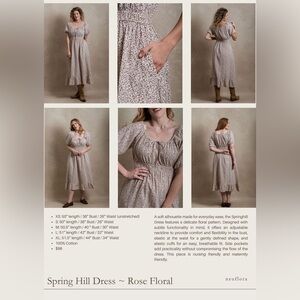 NWT size M rose Spring Hill dress